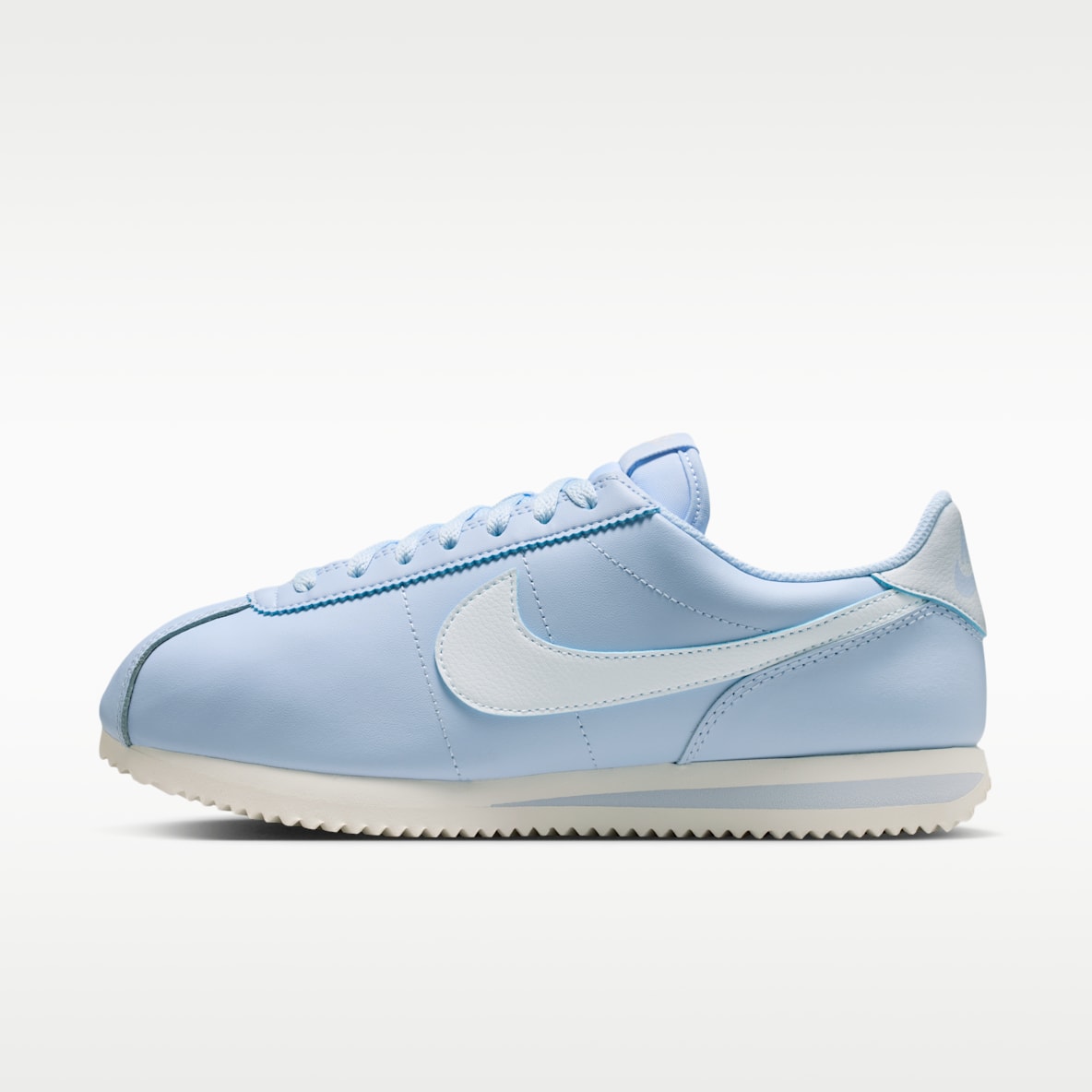 Blue Shoes. Nike CA